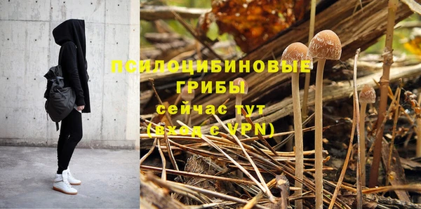 круглые Алексеевка