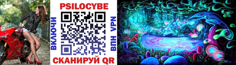 Псилоцибиновые грибы мицелий  закладка  Бердск 