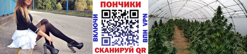 Канабис AK-47 дарнет шоп Бердск